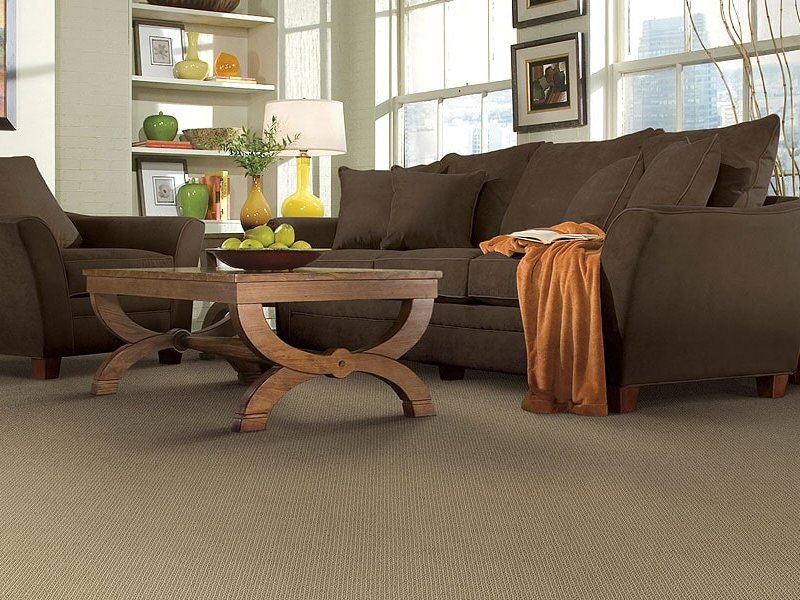 brown couch on carpet - Americarpets of Layton, UT