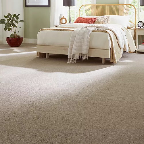 Brown carpet in a bedroom