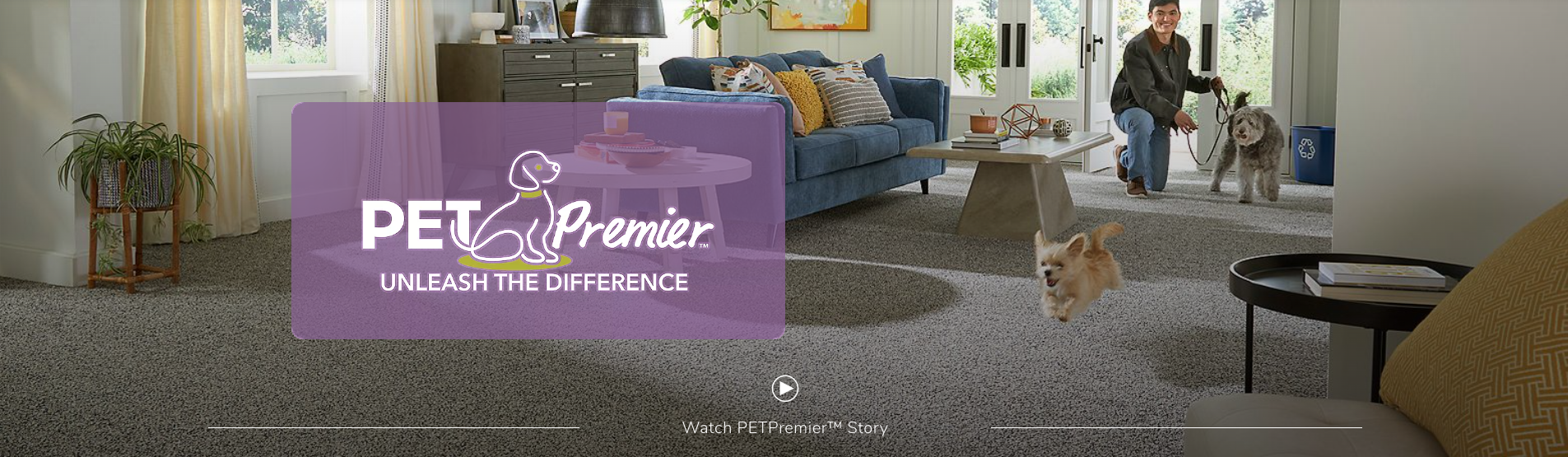 PETPremier - unleash the difference