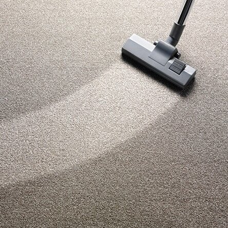 Carpet cleaning services | Americarpets | Layton, UT